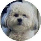 E. Anderson Avatar
